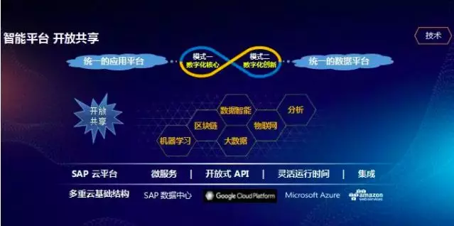 SAP智能平臺