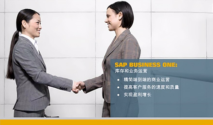 SAP Business One庫存和業(yè)務運營